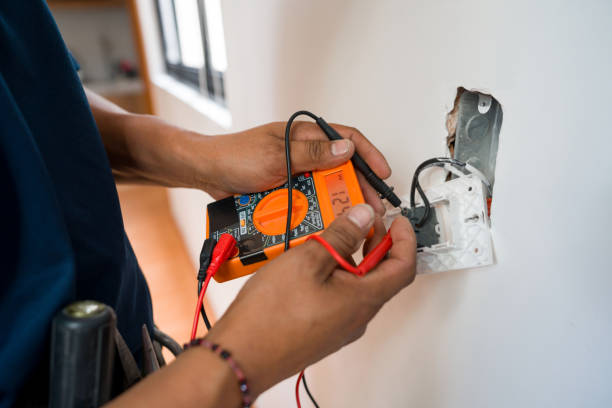Best Electric Panel Repair  in Roanoke, IL