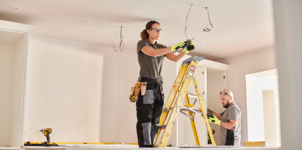 Best Electrician for Home Renovation  in Roanoke, IL