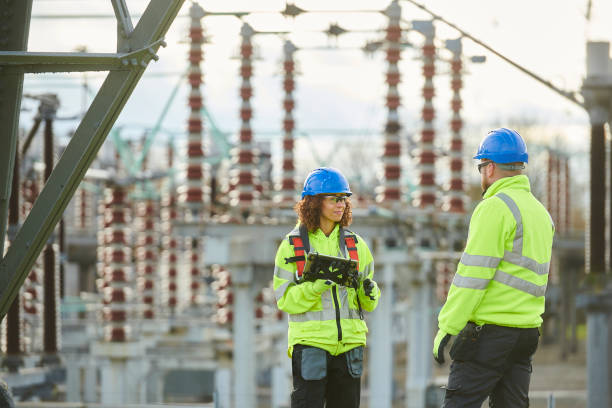 Best Home Electrical Repair  in Roanoke, IL