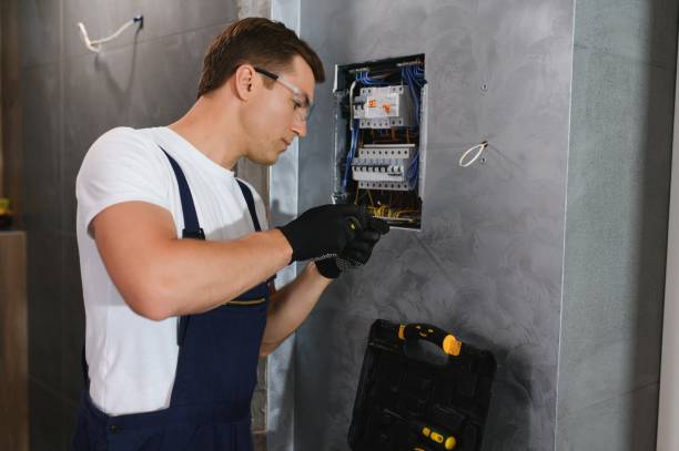 Best Electrical Upgrades for Homes  in Roanoke, IL