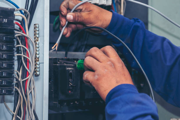 Best Licensed Electrician  in Roanoke, IL