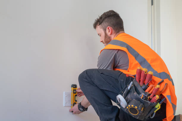 Best Local Electrician Companies  in Roanoke, IL