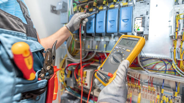 Best Local Electrician Companies  in Roanoke, IL